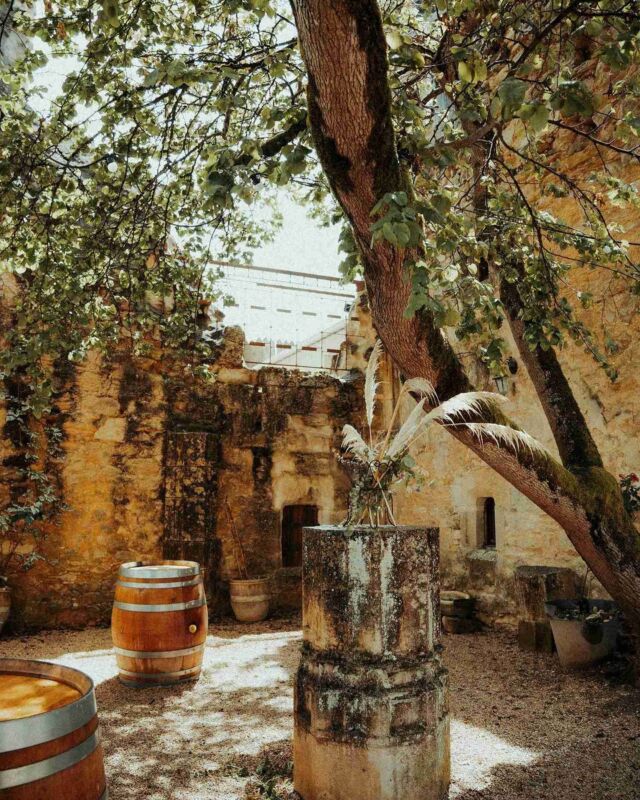 🇫🇷 Trop contents de pouvoir vous partager ces clichés de @hoopdesbois du fabuleux mariage de L&Y au @chateauderoussillon, un de nos premiers mariages de 2024 🤗 J’adore son style bohème et vintage, elle saisit la poésie de l’instant dans chaque image ✨
Toutes nos félicitations à L&Y, nous vous souhaitons plein de bonheur 💖

🇬🇧 Delighted to be able to share these beautiful shots by @hoopdesbois from one of our first weddings of 2024, L&Y’s special day at @chateauderoussillon 🤗 I love her vintage boho style, she really captures the poetry of the moment every time ✨
Huge congratulations to L&Y, wishing you a lifetime of happiness 💖

📸 @hoopdesbois
🏰 @chateauderoussillon
👰‍♀️ @louise.nicourt
🤵‍♂️ @yann.clch
💇‍♀️ @lacasacolor46
💄 @cecile_beaute_cahors
🍽️ @saveursetemotions
💐 @ayanafloraldesign

.
.
.
.
.
.
.
.
#realwedding #photographemariage #photographecahors #hoopdesbois #chateau #château #frenchchateau #chateaulife #laviedechateau #castle #wedding #weddingvenue #mariage #lieudemariage #mariagedanslelot #semarierdanslelot #frenchwedding  #destinationwedding #destinationweddingfrance #destinationwedding2026 #frenchchateauwedding #getmarriedinfrance #getmarriedinacastle #lechateaudemesreves #lcdmr #lechateaudecharlieetjulien